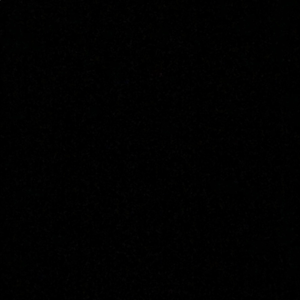 Meet your Posher, Maggie